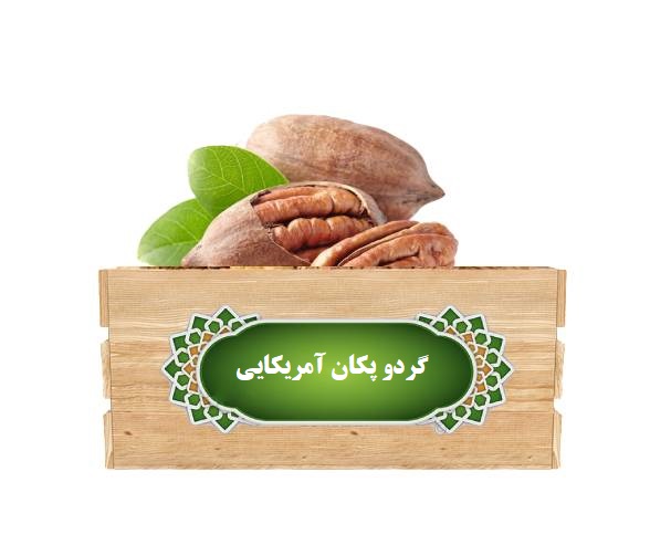 نهال-گردو-پکان
